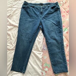 Universal Standard Seine High Rise Stretch Skinny Jeans Womens Plus 20